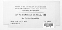 Image Associated With the Occurence